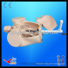 ISO Advanced Mechanism Demonstration of Labor Model, Childbirth Model